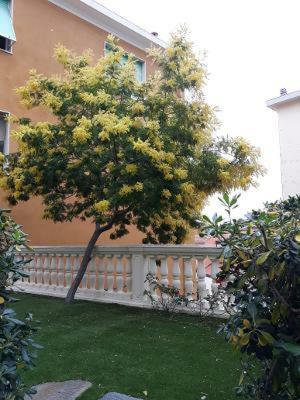 Casa Sole E Relax Appartamento Ospedaletti Esterno foto